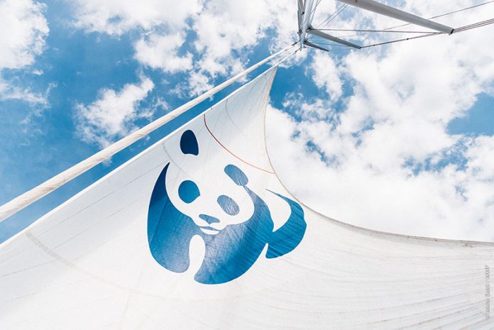 Blue Panda, το καράβι του WWF