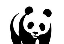 WWF: Οι πληθυσμοί της άγριας πανίδας έχουν μειωθεί κατά 73% την τελευταία 50ετία WWF Ελλάς
