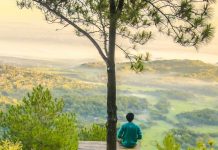 Έργο αναδάσωσης 16.500 εκταρίων, αξίας έως 122 εκατ. με χρηματοδότηση του Ταμείου Ανάκαμψης Δάσος