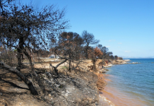 Καθαρίστηκε το οικόπεδο στο Μάτι – επίσκεψη Μητσοτάκη