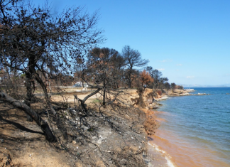 Καθαρίστηκε το οικόπεδο στο Μάτι – επίσκεψη Μητσοτάκη