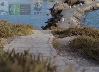 Natura 2000: Ένταση μετά την απόφαση για την παραπομπή της Ελλάδας από την ΕΕ για την βιοποικιλότητα