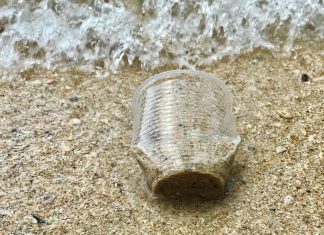 Σημαντική μείωση στα πλαστικά στην Δονούσα