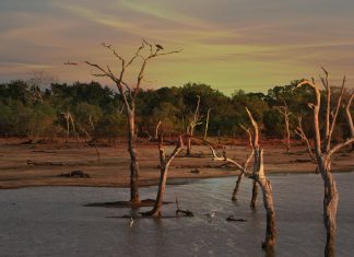 Μελέτη WWF: η κακή διαχείριση των υδάτων επιδεινώνει την ξηρασία