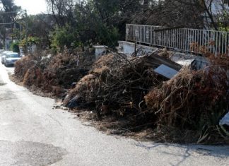 Ξεκίνησαν οι εργασίες καθαρισμού στο Μάτι Καθαρισμός οικοπέδου στο Μάτι