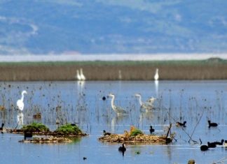 Διαγωνισμός για έργα στη λίμνη Δοϊράνη Λίμνη