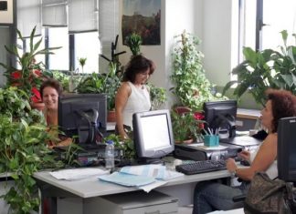 Τι προβλέπουν τα δύο φορολογικά ν/σ της κυβέρνησης Εφορία