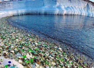 Το ακατοίκητο νησί του Ειρηνικού που έχει μετατραπεί σε χωματερή πλαστικών Νήσος Χέντερσον