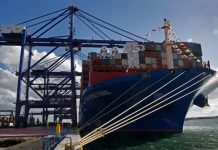 Η «αθέατη» πλευρά της εμπορικής συμφωνίας μεταξύ ΕΕ και ΗΠΑ – Τα μη δασμολογικά εμπόδια και τα αγροτικά προϊόντα Πλοίο μεταφοράς εμπορευματοκιβωτίων