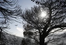 Πυρκαγιές: Εκκενώνονται άλλοι δυο οικισμοί στον Έβρο-Μήνυμα 112 και για τα Ψαχνά Ευβοίας