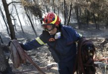 ΥΠΕΚΑ: 700 προσλήψεις σε Δασικές Υπηρεσίες