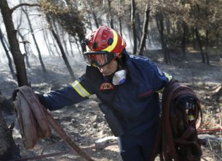 ΥΠΕΚΑ: 700 προσλήψεις σε Δασικές Υπηρεσίες