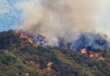 Αύξηση κατά 11% στις πυρκαγιές τον φετινό Σεπτέμβριο – Εντονότερες ακόμη και προς το τέλος της αντιπυρικής περιόδου