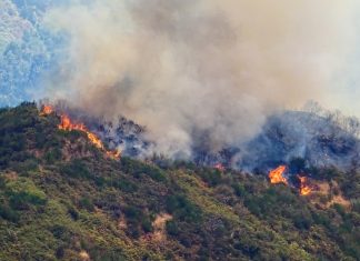 Αύξηση κατά 11% στις πυρκαγιές τον φετινό Σεπτέμβριο – Εντονότερες ακόμη και προς το τέλος της αντιπυρικής περιόδου