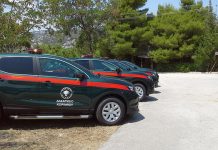 Η δασική πολιτική της κυβέρνησης – προβλήματα στις δασικές υπηρεσίες