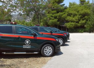 Η δασική πολιτική της κυβέρνησης – προβλήματα στις δασικές υπηρεσίες