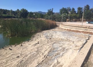 Εικόνες εγκατάλειψης στο Πάρκο Τρίτση – οι ευθύνες, ο δήμος Ιλίου και η διοίκηση του Φορέα