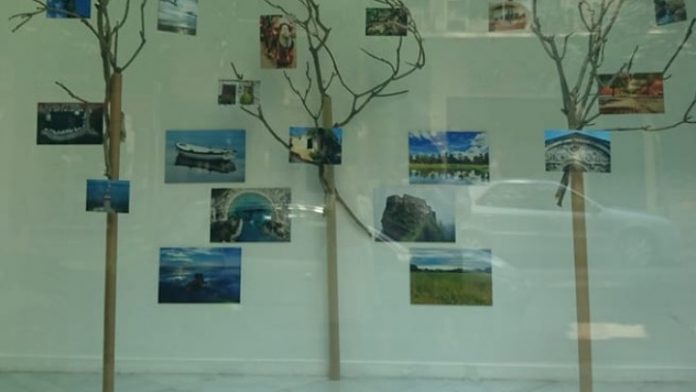 Βιτρίνες τέχνης του ΟΤΕ