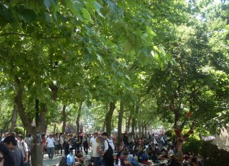 Τουρκία: Μαζικές διαδηλώσεις κατά ορυχείου χρυσού στο Τσανάκαλε Διαδηλώσεις του 2013 στο Γκεζι Παρκ, Τουρκία