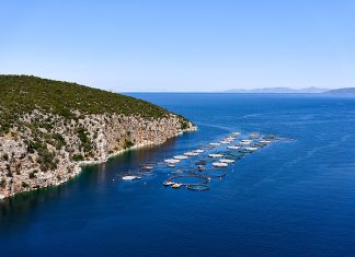 Υδατοκαλλιέργειες: στο ΣτΕ σχέδια ΠΔ χωροθέτησης ΠΟΑΥ σε Κεφαλονιά, Οξιά και Χαλκιδική