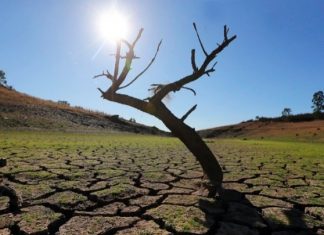 Έρευνα ΟΟΣΑ: Το ένα τρίτο του παγκόσμιου ΑΕΠ μπορεί να χαθεί αν δεν αντιμετωπιστεί η κλιματική κρίση Κλιματική αλλαγή