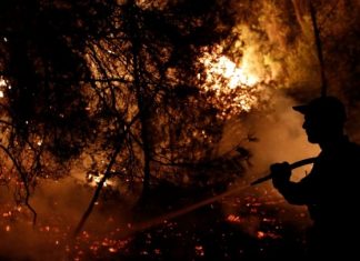 ΔιαΝΕΟσις: Πάνω από 1.000 θέσεις εργασίας χάθηκαν λόγω της πυρκαγιάς του 2021 στη Β. Εύβοια Πυρκαγιά στην Εύβοια