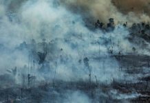 Πού οφείλονται οι πυρκαγιές που εξαφανίζουν τον Αμαζόνιο;