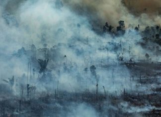 Πού οφείλονται οι πυρκαγιές που εξαφανίζουν τον Αμαζόνιο;