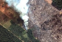 Η Βραζιλία θα ζητήσει να αποζημιωθεί για τη μάχη της κατά της αποψίλωσης του Αμαζονίου Πυρκαγιές στον Αμαζόνιο