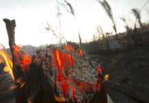 Πυρκαγιές στον Αμαζόνιο: 63 συλλήψεις και πρόστιμα 8,7 εκ. Στις φλόγες το τροπικό δάσος του Αμαζονίου