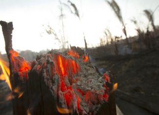 Πυρκαγιές στον Αμαζόνιο: Θα καίνε για βδομάδες, αλλά η Βραζιλία απορρίπτει τη βοήθεια της G7 Στις φλόγες το τροπικό δάσος του Αμαζονίου