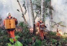 Ανεξέλεγκτα τα πύρινα μέτωπα του Αμαζονίου Στις φλόγες ο Αμαζόνιος