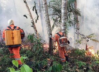 Ανεξέλεγκτα τα πύρινα μέτωπα του Αμαζονίου Στις φλόγες ο Αμαζόνιος