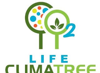 ΔΕΘ: Ευρωπαϊκό έργο για τον υπολογισμό CO2 από τις δενδρώδεις καλλιέργειες LIFE CLIMATREE