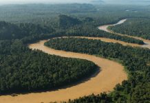 Τι ένωσε κολοσσούς του αγροδιατροφικού τομέα;