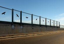 «Μάτια Ανοιχτά στον Δρόμο!» για εφήβους από στην Αττική Οδό