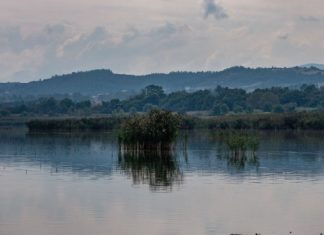 Η Κορώνεια μάχεται για την επιβίωσή της