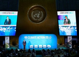 WWF Ελλάς: «Ναι, μεν, αλλά» για τις εξαγγελίες Μητσοτάκη για απολιγνιτοποίηση