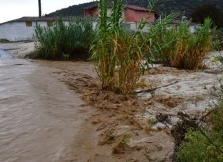 ΙΕΛΚΑ: Το 7% του πληθυσμού δηλώνει ότι αντιμετώπισε κάποια φυσική καταστροφή το 2023