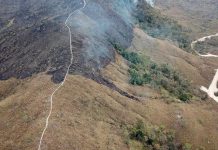 Η αποψίλωση της Αμαζονίας σχεδόν διπλασιάστηκε σε έναν χρόνο Πυρκαγιές στον Αμαζόνιο