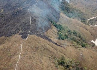 Η αποψίλωση της Αμαζονίας σχεδόν διπλασιάστηκε σε έναν χρόνο Πυρκαγιές στον Αμαζόνιο