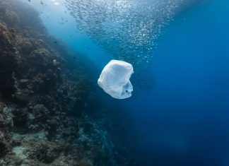 WWF Ελλάς: τα θετικά και αρνητικά του 2019 στην περιβαλλοντική νομοθεσία