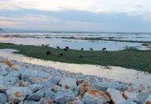 «Καθαρίζει ο ορίζοντας» για τα έργα 1,35 δις αποκατάστασης υποδομών στη Θεσσαλία;