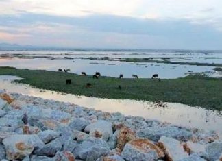 Θεσσαλία: Οριστικοποιήθηκαν 22.589 αιτήσεις πλημμυροπαθών και εκκρεμούν 4.840 αιτήσεις