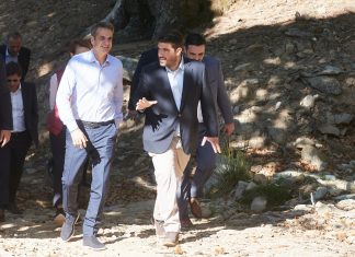 Ανοιχτή σε συνεργασία με τη ΔΕΗ η Enel Green Power