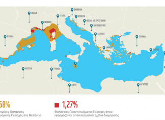Έρευνα WWF: Η Μεσόγειος παραμένει χωρίς καμία προστασία
