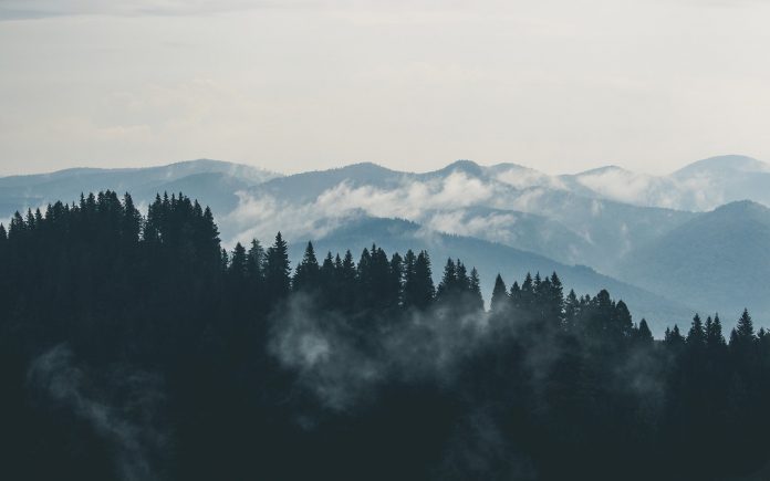 προγράμματος Δασοπροστασίας