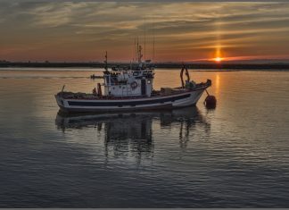 Άδεια πειραματικής αλιείας Ολοθουρίων στα Δωδεκάνησα