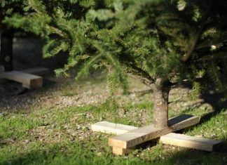 Χαλκιδική: Έτοιμοι να σκορπίσουν «άρωμα» Χριστουγέννων οι ελατοπαραγωγοί Ταξιάρχη Θεσσαλονίκη: Πότε ξεκινά η ανακύκλωση χριστουγεννιάτικων δέντρων