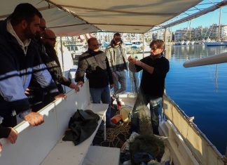 Εναλεία: Ψαρεύει στο Σαρωνικό δίχτυα για να γίνουν… κάλτσες στην Ολλανδία Εναλεία: Ψαρεύει στο Σαρωνικό δίχτυα για να γίνουν... κάλτσες στην Ολλανδία